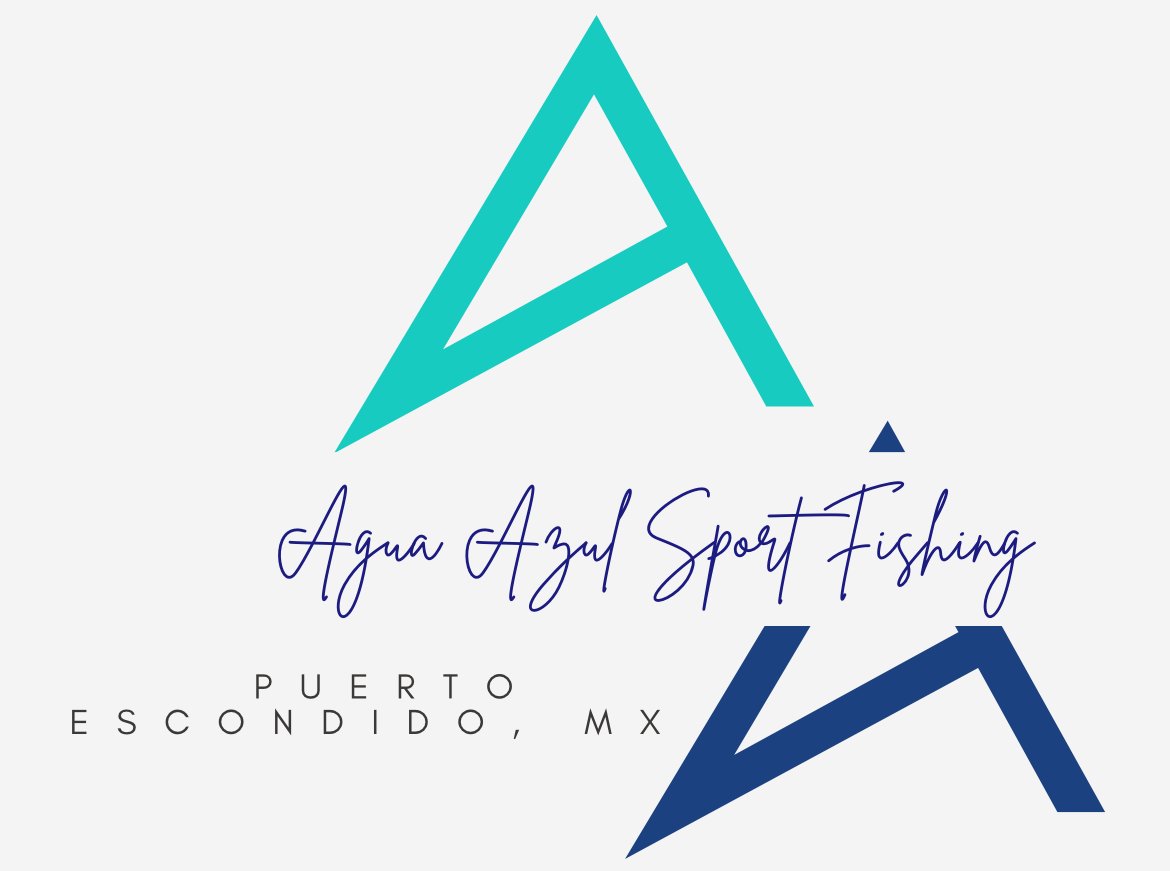 Agua Azul Logo